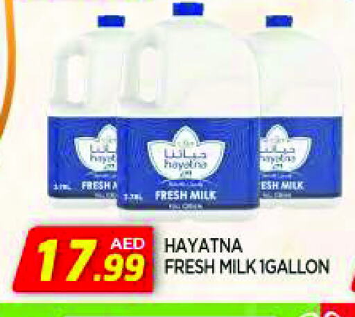 HAYATNA Fresh Milk available at AL MADINA in UAE - Sharjah / Ajman