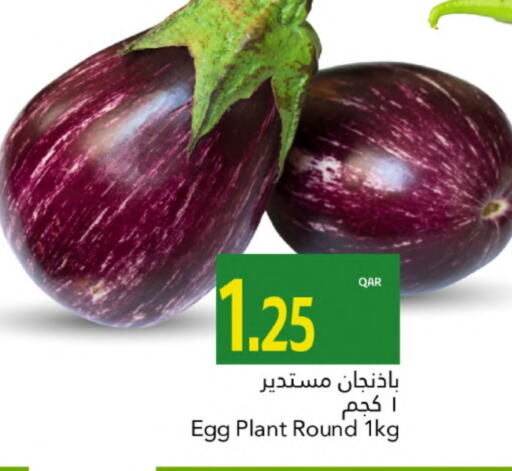 available at جلف فود سنتر in قطر - الوكرة