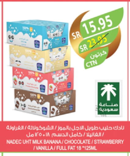 NADEC Long Life / UHT Milk available at Farm  in KSA, Saudi Arabia, Saudi - Al-Kharj