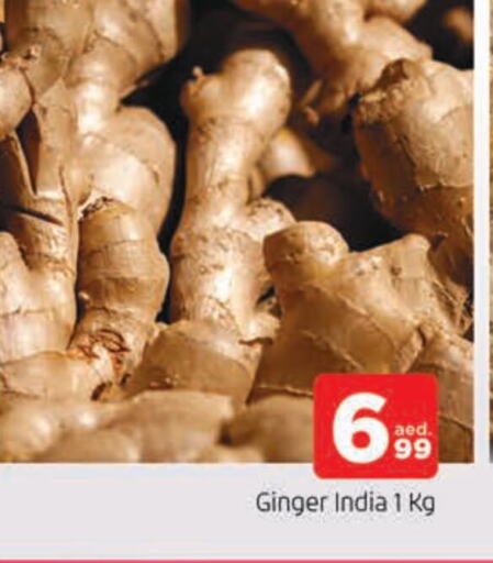 Ginger from India available at AL MADINA in UAE - Sharjah / Ajman