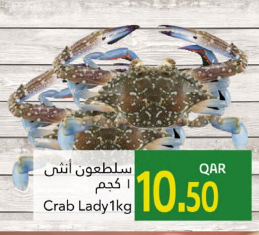 available at جلف فود سنتر in قطر - الوكرة