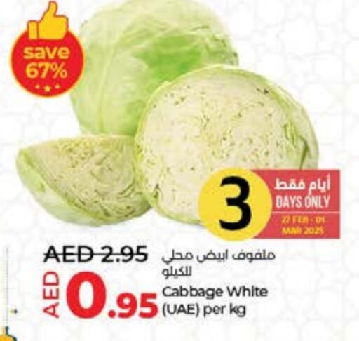 Cabbage available at Lulu Hypermarket in UAE - Umm al Quwain