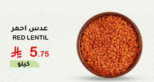 available at الهاجري الأغذية in مملكة العربية السعودية, السعودية, سعودية - خميس مشيط