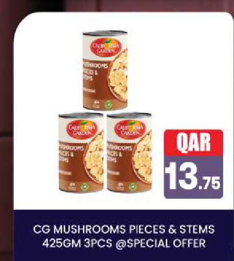 available at أنصار جاليري in قطر - الدوحة