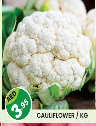 Cauliflower available at Baniyas Spike  in UAE - Umm al Quwain