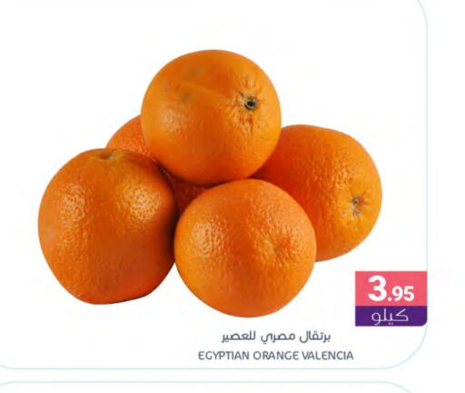 Orange from Egypt available at Muntazah Markets in KSA, Saudi Arabia, Saudi - Dammam