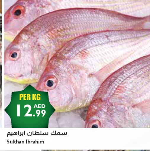 available at Istanbul Supermarket in UAE - Dubai