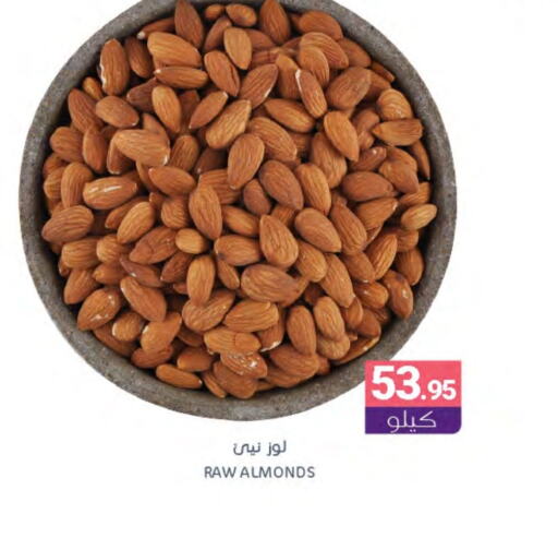 available at Muntazah Markets in KSA, Saudi Arabia, Saudi - Dammam