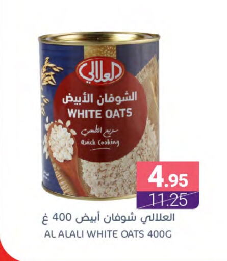 AL ALALI Oats available at Muntazah Markets in KSA, Saudi Arabia, Saudi - Saihat