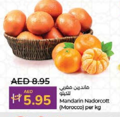 برتقال from Morocco available at لولو هايبرماركت in الإمارات العربية المتحدة , الامارات - أم القيوين‎