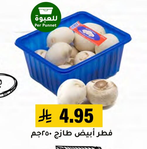 Mushroom available at Al Amer Market in KSA, Saudi Arabia, Saudi - Al Hasa