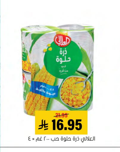 AL ALALI available at Al Amer Market in KSA, Saudi Arabia, Saudi - Al Hasa