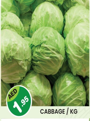 Cabbage available at Baniyas Spike  in UAE - Umm al Quwain