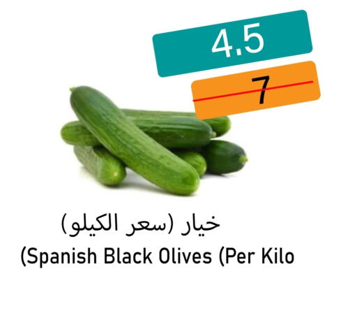 available at أسواق الديرة in مملكة العربية السعودية, السعودية, سعودية - ينبع