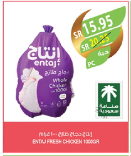 Fresh Whole Chicken available at Farm  in KSA, Saudi Arabia, Saudi - Jubail