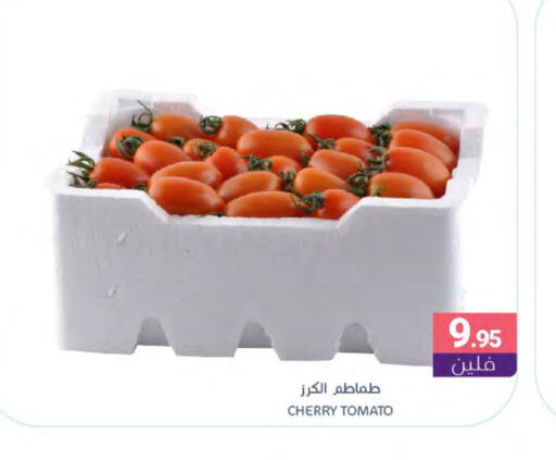 Tomato available at Muntazah Markets in KSA, Saudi Arabia, Saudi - Dammam