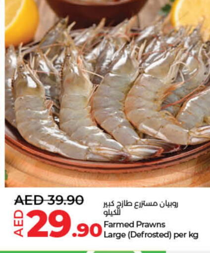 available at لولو هايبرماركت in الإمارات العربية المتحدة , الامارات - أم القيوين‎