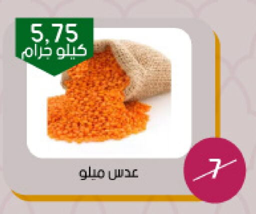 available at ‎أسواق الوسام العربي in مملكة العربية السعودية, السعودية, سعودية - الرياض