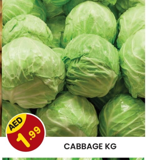 Cabbage available at Baniyas Spike  in UAE - Sharjah / Ajman