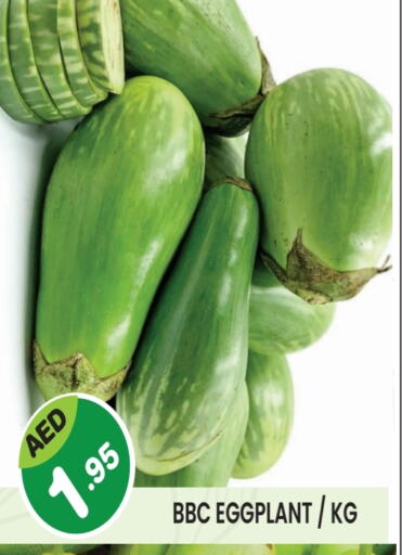 Eggplant available at Baniyas Spike  in UAE - Umm al Quwain