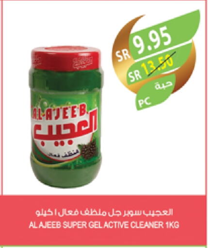 General Cleaner available at Farm  in KSA, Saudi Arabia, Saudi - Sakaka