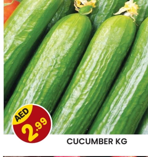 Cucumber available at Baniyas Spike  in UAE - Sharjah / Ajman