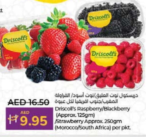 Berries from Morocco South Africa available at Lulu Hypermarket in UAE - Umm al Quwain