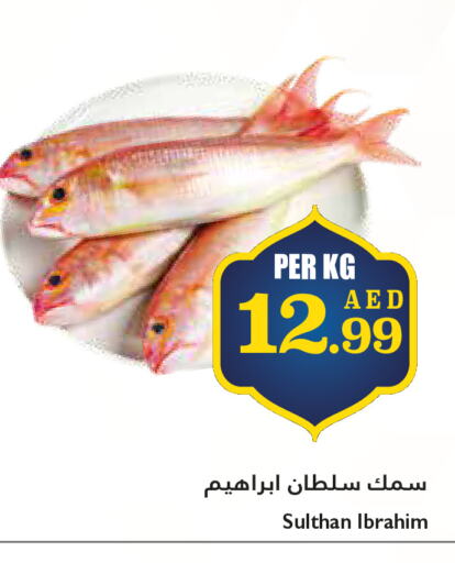 available at Trolleys Supermarket in UAE - Dubai