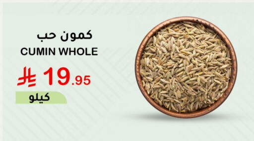 Cumin available at الهاجري الأغذية in مملكة العربية السعودية, السعودية, سعودية - خميس مشيط