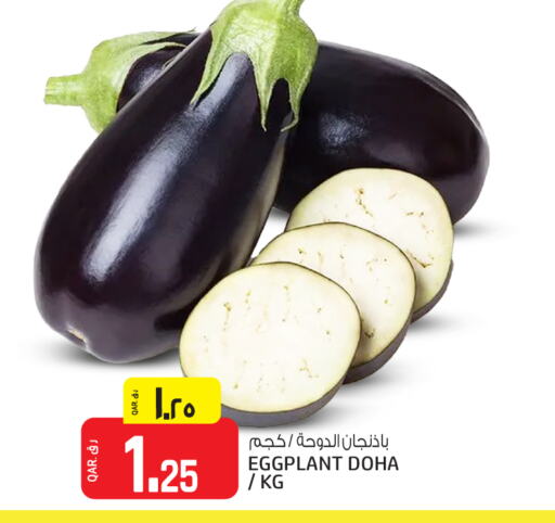 Eggplant from Qatar available at السعودية in قطر - الريان