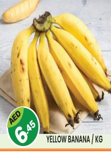 Banana available at Baniyas Spike  in UAE - Umm al Quwain