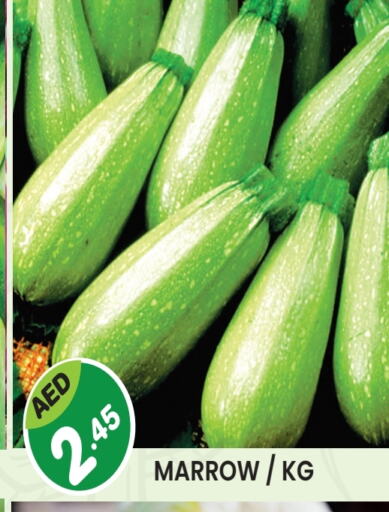 Marrow available at Baniyas Spike  in UAE - Umm al Quwain