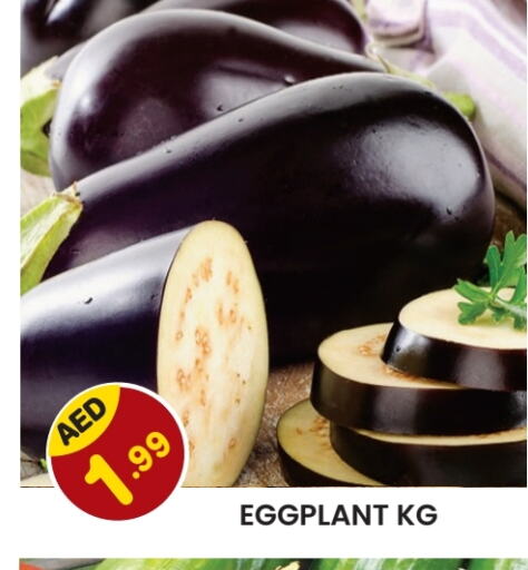 Eggplant available at Baniyas Spike  in UAE - Sharjah / Ajman