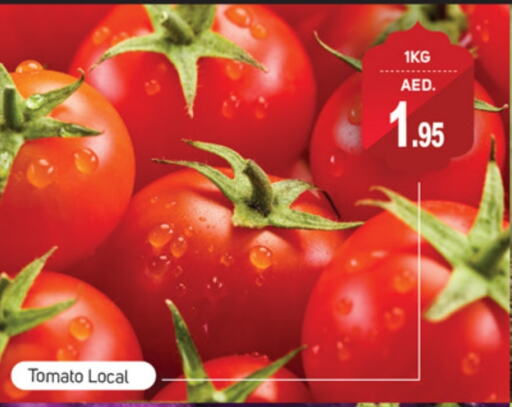 Tomato available at TALAL MARKET in UAE - Dubai