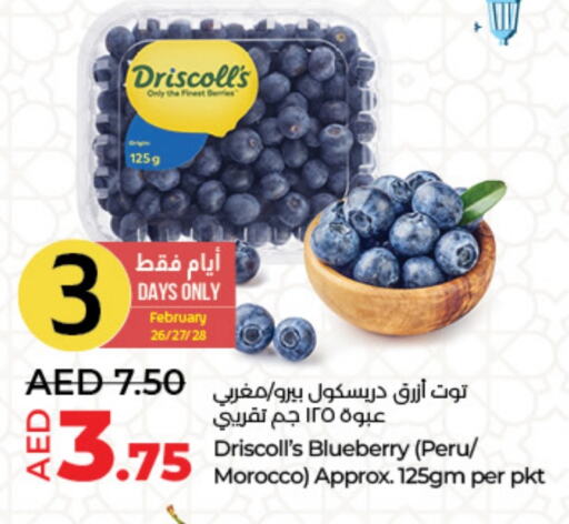 Berries from Morocco available at Lulu Hypermarket in UAE - Abu Dhabi