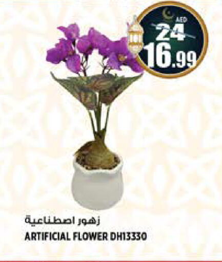 available at Hashim Hypermarket in UAE - Sharjah / Ajman