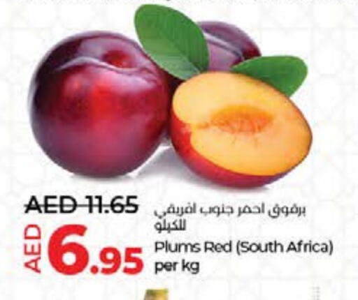 برقوق from South Africa available at لولو هايبرماركت in الإمارات العربية المتحدة , الامارات - الشارقة / عجمان