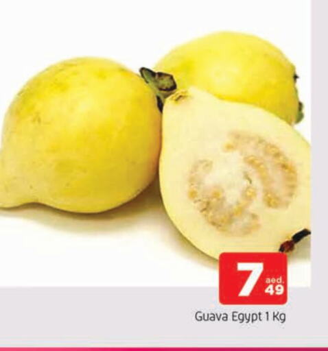 جوافة from Egypt available at المدينة in الإمارات العربية المتحدة , الامارات - الشارقة / عجمان