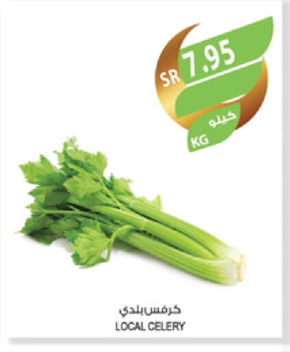 كرفس available at المزرعة in مملكة العربية السعودية, السعودية, سعودية - المنطقة الشرقية