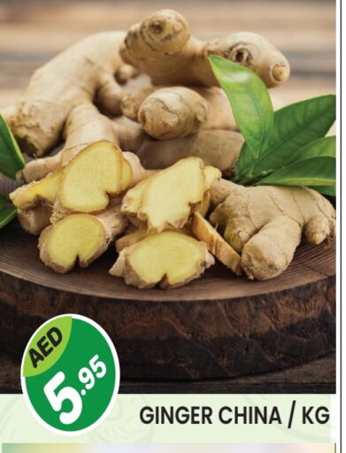 Ginger from China available at Baniyas Spike  in UAE - Umm al Quwain