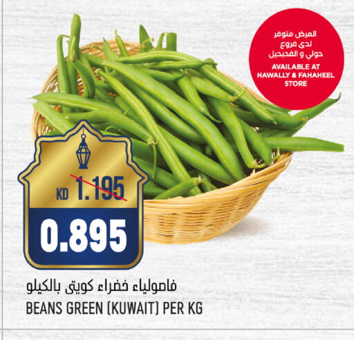 فاصوليا from Kuwait available at أونكوست in الكويت - مدينة الكويت