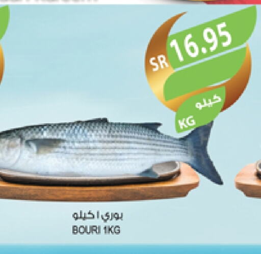 available at Farm  in KSA, Saudi Arabia, Saudi - Jubail