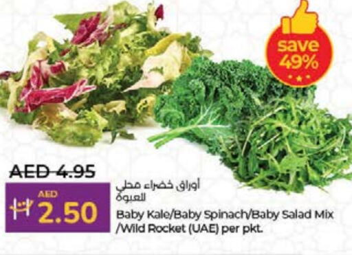 Kale Spinach available at لولو هايبرماركت in الإمارات العربية المتحدة , الامارات - أم القيوين‎