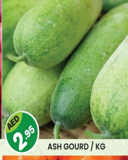 Gourd available at Baniyas Spike  in UAE - Umm al Quwain