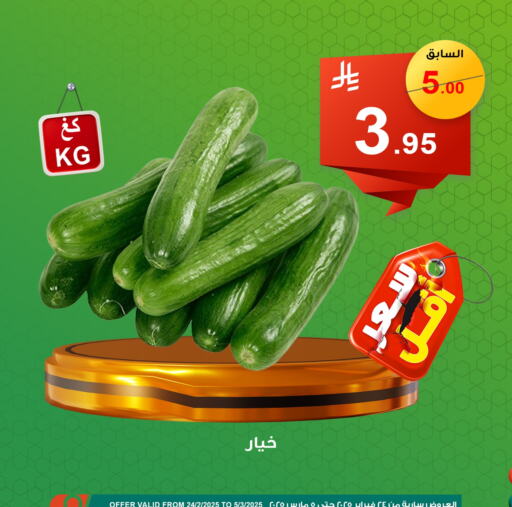 خيار available at العائلة الإقتصادية in مملكة العربية السعودية, السعودية, سعودية - ينبع