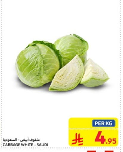 Cabbage from Saudi Arabia available at Carrefour in KSA, Saudi Arabia, Saudi - Jeddah