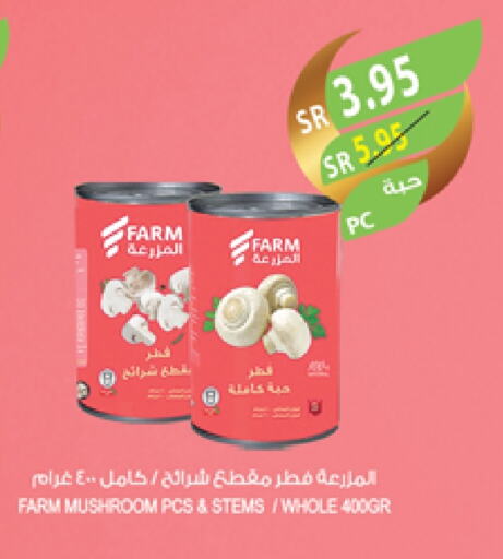 Mushroom available at المزرعة in مملكة العربية السعودية, السعودية, سعودية - جدة