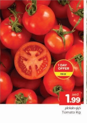 Tomato available at AL MADINA in UAE - Sharjah / Ajman