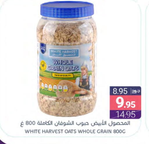 Oats available at Muntazah Markets in KSA, Saudi Arabia, Saudi - Saihat