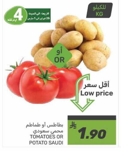 Tomato from Saudi Arabia available at Mazaya in KSA, Saudi Arabia, Saudi - Dammam